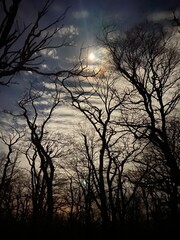 Full Moon Nightscape - Bald Knob - Giles County, VA