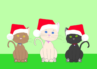 Hand drawn illustration of three diverse cartoon kittens wearing collars with ID tags with Santa hats on their heads sitting on a green floor with light green background looking at viewer. Copy space.