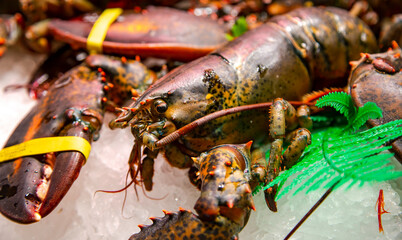 Sea fresh lobster lying on ice for sale at the Boqueria market, Barcelona, Spain.Seafood concept. Raw lobster close up for cooking.	