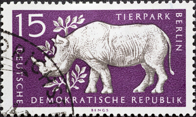 Naklejka premium GERMANY, DDR - CIRCA 1956 : a postage stamp from Germany, GDR showing a black rhinoceros (Diceros bicornis bicornis). Berlin Zoo