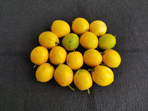 Platonia insignis, the sole species of the genus Platonia, is a tree of the family Clusiaceae native to South America,  specially in Amazon Rainforest. Manau, Amazon &ndash; Brazil.