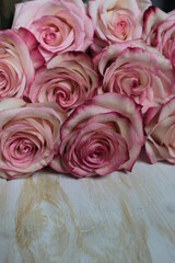 A beautiful bouquet of pink roses lies on a light wooden surface.