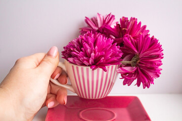 A woman's hand holds a striped pink mug with bright chrysanthemum buds over a saucer 