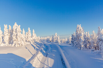 Winter landscape with snowy trees in lapland