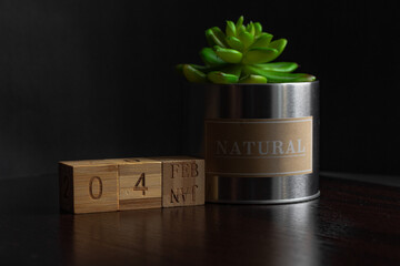 Feb 04st. Image of Feb 04 wooden cube calendar and an artificial plant on a brown wooden table reflection and black background. with empty space for text