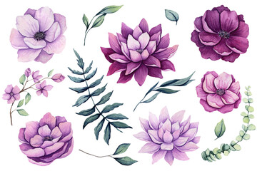 Set of Watercolor Flowers and Leaves