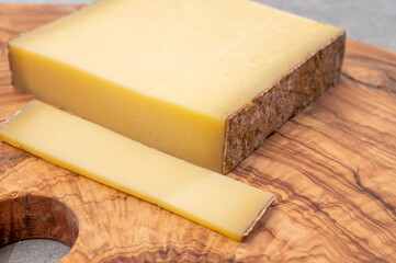 Cheese collection, French cheese comte made from cow milk in region Franche-Comte in France