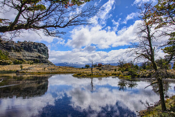 Reflections on the Lagunas Altas trail, Patagonia National Park, Aysen, Patagonia, Chile
