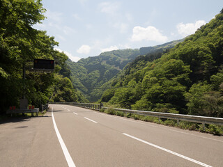 Carretera en el Valle de Iya, isla de Shikoku, Japón