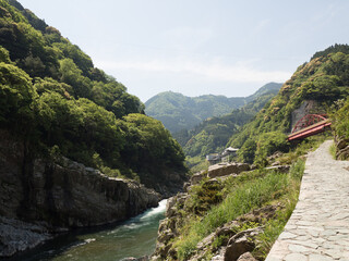 Fototapeta na wymiar Garganta de Oboke, en el Valle de Iya, en la isla de Shikoku, Japón