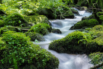 A nice picture of a wild stream