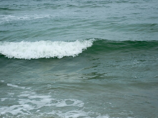Ocean waves near the shore
