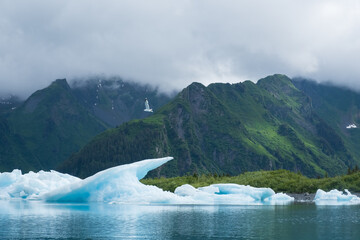 Ice bergs Floating in Bear Glaicer lagoon alaska.