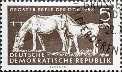 GERMANY, DDR - CIRCA 1958 : a postage stamp from Germany, GDR showing a horse with a foal in the pasture. Text: Horse racing Grand Prix of the GDR