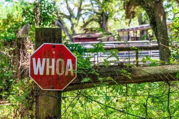 Whoa sign shaped like a stop sign, on fence in front of horse ranch - Davie, Florida, USA