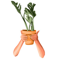 A collection of hands holding bouquets or bunches of blooming flowers. hands holding flower bowls, pots. Flower pots.A bunch of floral decorative design elements isolated on a white background. 