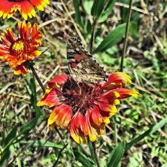 In shine of day.Composition 4.