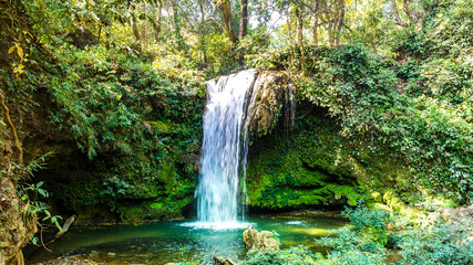 Corbett Falls is a scenic water fall and is surrounded by dense teak wood forest