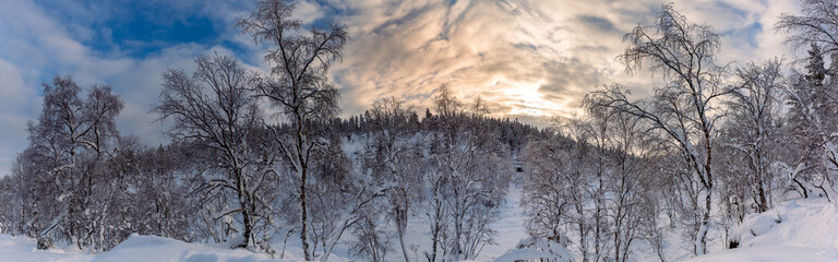 Winter landscape with  frozen trees in winter in Lapland, Finland	
