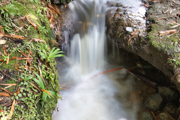 cascada 