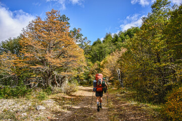 Obraz premium Beautiful fall colors and trekking at the beautiful Cerro Castillo Reserve, Aysen, Patagonia, Chile