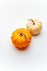 small decorative pumpkins on the white background
