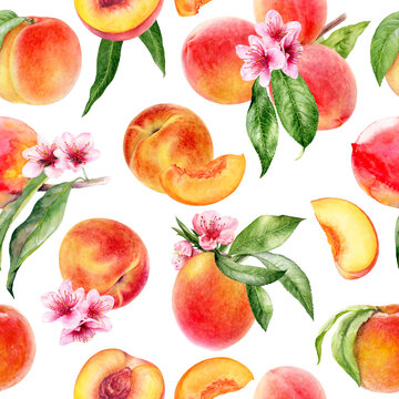 Watercolor seamless pattern peaches with flowers and leaves isolated on white background.