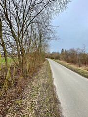 Fototapeta premium road in the countryside