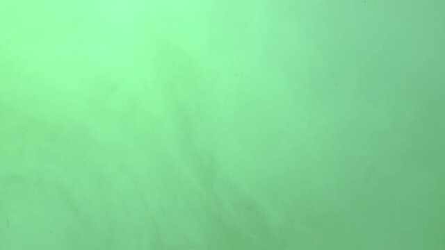 Dark ink spreading in green-blue water. Abstract color background, liquid smoke effect, psychedelic and art concept.
