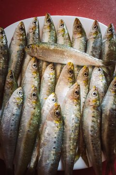 plato con ración de sardinas frescas sin cocinar