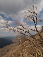 Fototapeta premium Monte Tsurugi, en el Valle de Iya, en la isla de Shikoku, en Japón