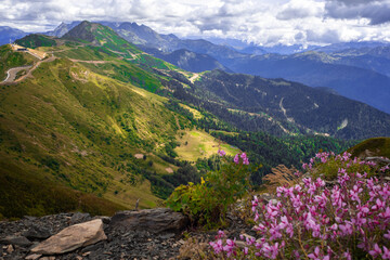 View from the top of the mountain valley, flowers and grass in the foreground