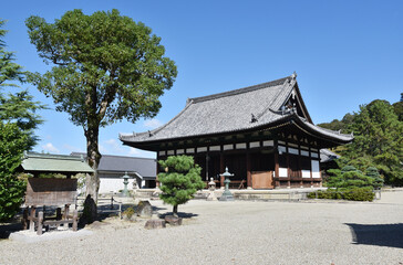 Obraz premium 叡福寺 金堂 大阪府南河内郡太子町