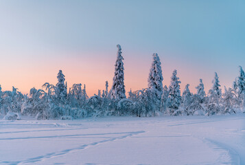 Beautiful winter nature landscape, amazing mountain view of sunset. Scenic image of snowy woodland.