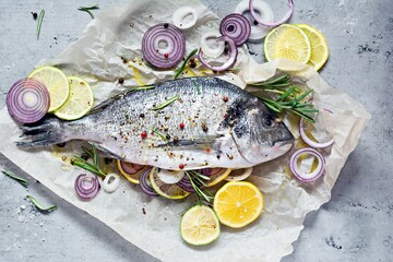 Fresh fish dorado. Raw dorado with herbs, spices and lemon and lime slices ready to cook on a gray background. Top view.  Fresh fish gilt-head bream  with salt, herbs and pepper.