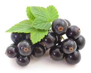 Black currants isolated.