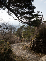 Monte Tsurugi, en el Valle de Iya, isla de Shikoku, Japón