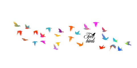 Bird watercolor. A flock of colorful birds. Mixed media. Vector illustration