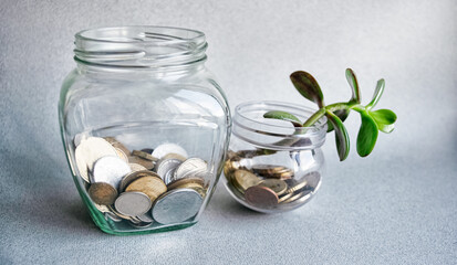 A seedling grows out of a glass jar of coins. A sprout grows in the jar. White table. Budget saving money concept with copy space for web banner.