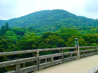 wooden bridge in the mountains