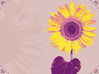 A bright colorful vector sunflower with purple and yellow
