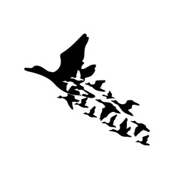 A ducks flying south. Bringing ducks home. Vector illustration