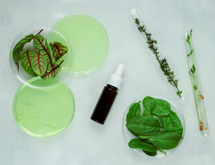 Cosmetic skincare background. Herbal medicine with green leaves. Chemical glassware, petri dishes,...