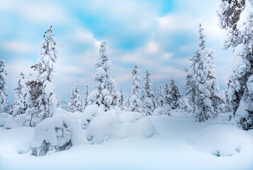 Winter landscape in Finnish Lapland