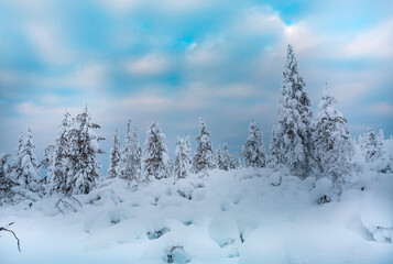 Fototapeta na wymiar Winter landscape in Finnish Lapland