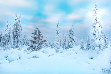 Papier Peint photo Lavable Bleu clair Winter landscape