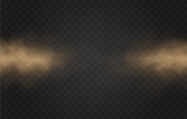 Vector sandy dust cloud. Clouds with dust particles. Sandstorm on an isolated transparent background. PNG.