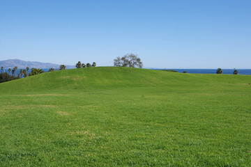 Fototapeta na wymiar Panoramic landscape view with a large grass area with a hill in front and trees and palms and the pacific ocean at Santa Barbara and mountains behind under blue sky