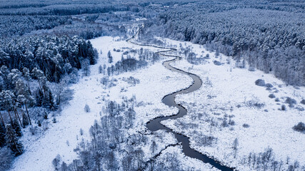 Curvy river and forest in winter. Nature in Poland.