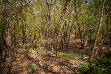 Beautiful Nature Park